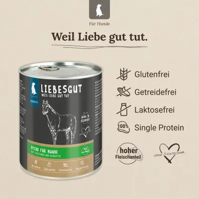 Pferd mit Zucchini und Karotte