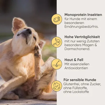 Milo & Mia - Insekten & Süßkartoffel Milo & Mia - Insekten & Süßkartoffel