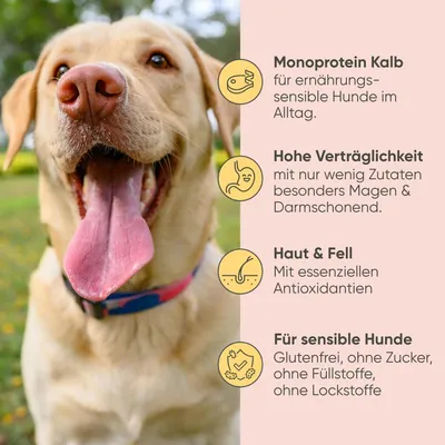 Milo & Mia - Kalb, Kürbis & Hirse Milo & Mia - Kalb, Kürbis & Hirse