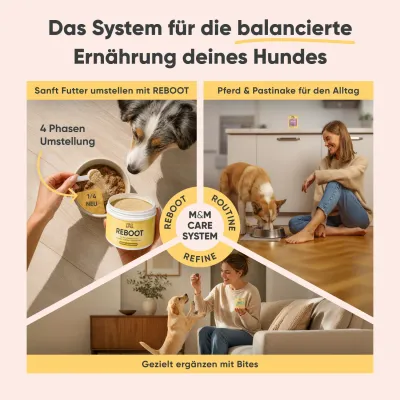 Milo & Mia Sensitive – Lachs & Kartoffel – Monoprotein – Getreidefrei