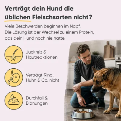 Milo & Mia Sensitive – Pferd & Pastinake – Monoprotein – Getreidefrei Milo & Mia Sensitive – Pferd & Pastinake – Monoprotein – Getreidefrei