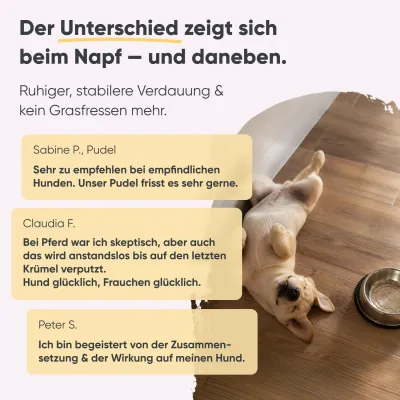 Milo & Mia Sensitive – Pferd & Pastinake – Monoprotein – Getreidefrei Milo & Mia Sensitive – Pferd & Pastinake – Monoprotein – Getreidefrei