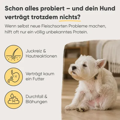 Milo & Mia Sensitive – Insekten & Süßkartoffel – Monoprotein – Getreidefrei Milo & Mia Sensitive – Insekten & Süßkartoffel – Monoprotein – Getreidefrei