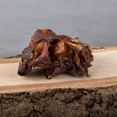 Liebesgut Hunde-Snack Bio Rind Nasenknorpel Liebesgut Hunde-Snack Bio Rind Nasenknorpel