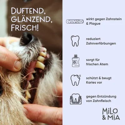 Milo & Mia Brush Bites