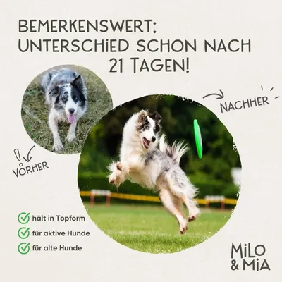 Milo & Mia Flex Bites