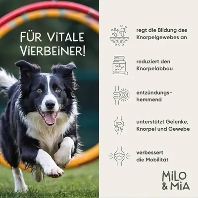 Milo & Mia Flex Bites