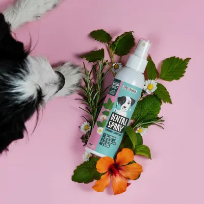 Tierliebhaber Dentalspray für Hunde Tierliebhaber Dentalspray für Hunde