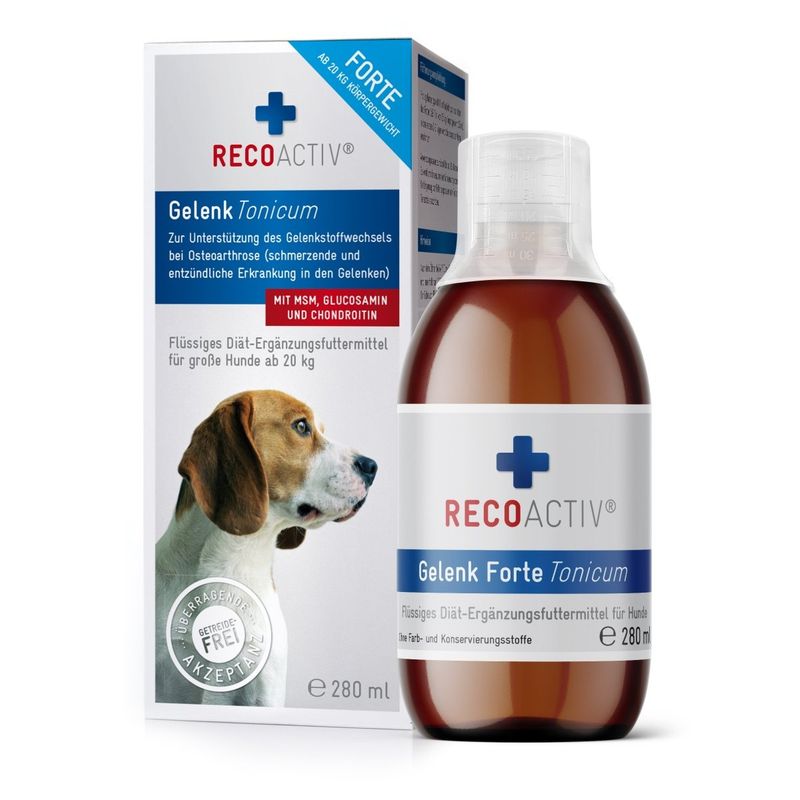 RECOACTIV® Gelenk Forte Tonicum