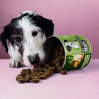 Tierliebhaber Gras & Kotfresser Drops für Hunde