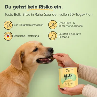 Milo & Mia Belly Bites – Präbiotischer Snack für Magen & Darm
