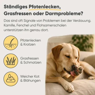 Milo & Mia Belly Bites – Präbiotischer Snack für Magen & Darm
