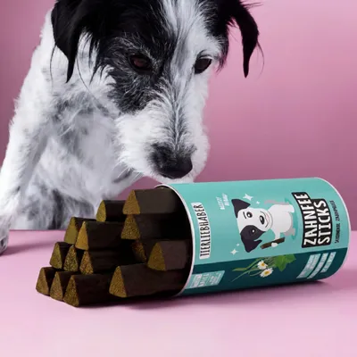 Tierliebhaber Zahnfee Sticks für Hunde