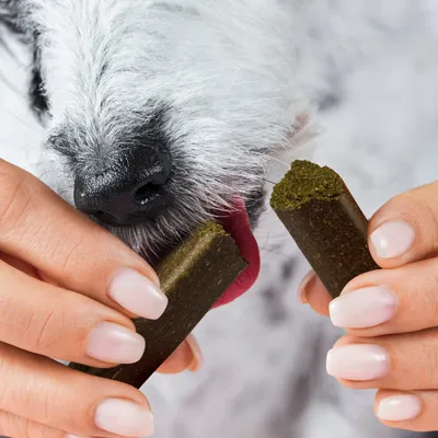 Tierliebhaber Zahnfee Sticks für Hunde Tierliebhaber Zahnfee Sticks für Hunde