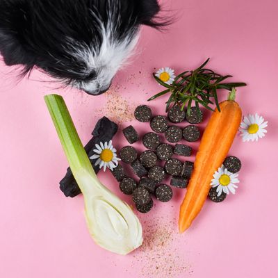 Tierliebhaber Darmpflege Drops für Hunde
