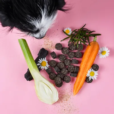 Tierliebhaber Darmpflege Drops für Hunde Tierliebhaber Darmpflege Drops für Hunde