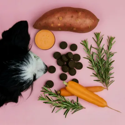 Tierliebhaber Analdrüsen Drops für Hunde Tierliebhaber Analdrüsen Drops für Hunde