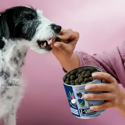 Tierliebhaber Z-Snack für Hunde