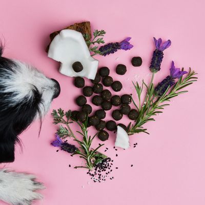 Tierliebhaber Z-Snack für Hunde