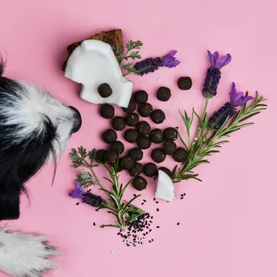 Tierliebhaber Z-Snack für Hunde