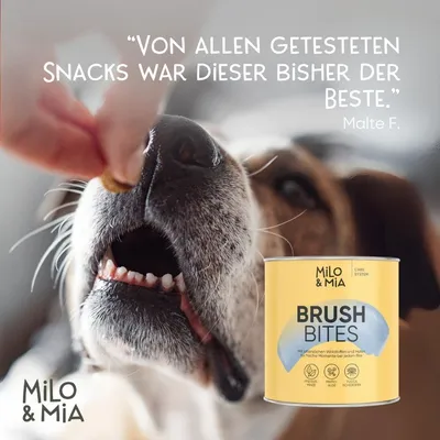 Milo & Mia Brush Bites