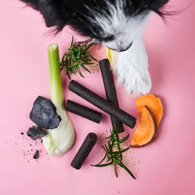 Tierliebhaber Darmwohl Sticks für Hunde Tierliebhaber Darmwohl Sticks für Hunde