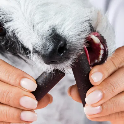 Tierliebhaber Darmwohl Sticks für Hunde Tierliebhaber Darmwohl Sticks für Hunde