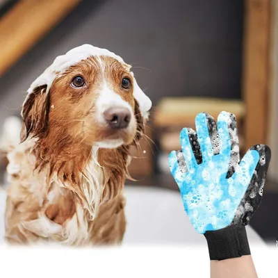 Gants brosse animaux 4 en 1 - Toilettage facile Gants brosse animaux 4 en 1 - Toilettage facile