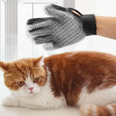 Selbstreinigende Bürste Hunde Katzen – Entfernt Haare einem Klick Selbstreinigende Bürste Hunde Katzen – Entfernt Haare einem Klick