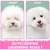 SweetyPet - Brosse Démêlante - Double Face Poils Longs SweetyPet - Brosse Démêlante - Double Face Poils Longs