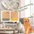 ERSANDY - Brosse vapeur chien/chat - Démêlage massage ERSANDY - Brosse vapeur chien/chat - Démêlage massage