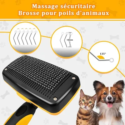 Brosse autonettoyante démêlage enlève poils Brosse autonettoyante démêlage enlève poils