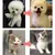 Brosse autonettoyante démêlage anti-nœuds chien/chat Brosse autonettoyante démêlage anti-nœuds chien/chat