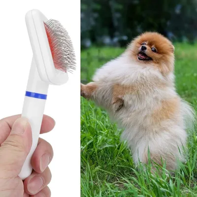 Brosse autonettoyante démêlage anti-nœuds chien/chat Brosse autonettoyante démêlage anti-nœuds chien/chat