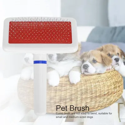 Brosse autonettoyante démêlage anti-nœuds chien/chat Brosse autonettoyante démêlage anti-nœuds chien/chat