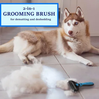 Brosse démêlante chien chat sous-poil Brosse démêlante chien chat sous-poil