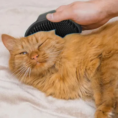 Brosses silicone x2 chien/chat, bain, massage nettoyage Brosses silicone x2 chien/chat, bain, massage nettoyage