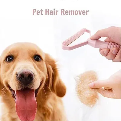 Bgfaquri - Brosse Rasoir - Anti-poils, bouloche, vêtements animaux manuel Bgfaquri - Brosse Rasoir - Anti-poils, bouloche, vêtements animaux manuel