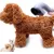 Brosse électrique anti-poils pour toilettage chiens/chats sous-poil Brosse électrique anti-poils pour toilettage chiens/chats sous-poil