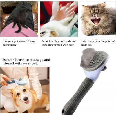 Brosse chat autonettoyante, enlève sous-poil efficacement Brosse chat autonettoyante, enlève sous-poil efficacement