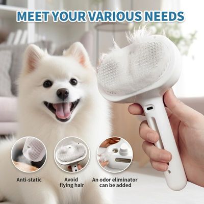 SANS MARQUE - Brosse - Brosse autonettoyante 3-en-1