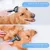 Brosses anti-poils x2 : double face, réutilisable chien/chat Brosses anti-poils x2 : double face, réutilisable chien/chat