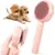 CSPARKV - Brosse autonettoyante 1 clic chiens/chats CSPARKV - Brosse autonettoyante 1 clic chiens/chats