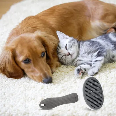 Generisch - Peigne - Massage autonettoyant chien/chat Generisch - Peigne - Massage autonettoyant chien/chat