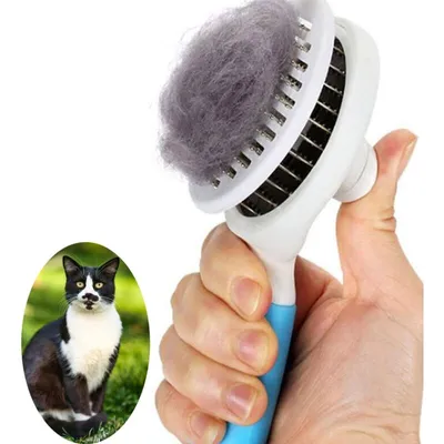 Brosse autonettoyante : enlève poils 1 clic Brosse autonettoyante : enlève poils 1 clic