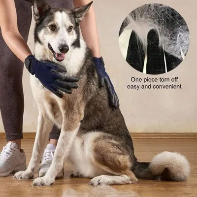 Anti-Haar-Handschuh x2: Bürste für Katzen/Hunde, entfernt Haare mühelos Anti-Haar-Handschuh x2: Bürste für Katzen/Hunde, entfernt Haare mühelos