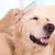 Peignes animaux double denture : démêlage, anti-poils chien/chat Peignes animaux double denture : démêlage, anti-poils chien/chat