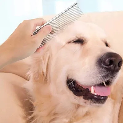 Peignes animaux double denture : démêlage, anti-poils chien/chat Peignes animaux double denture : démêlage, anti-poils chien/chat