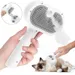 Wiederaufladbare 3-in-1-Dampfbürste für Hunde und Katzen mit Tank