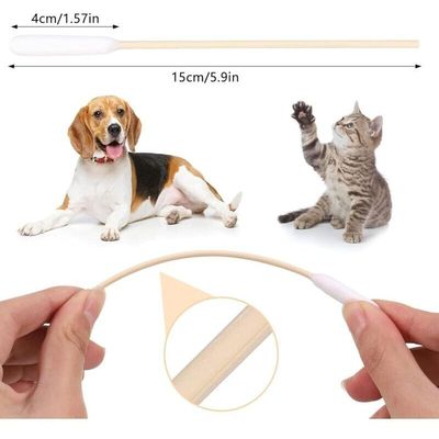 Cotons-tiges 15cm pour oreilles et dents chiens/chats (200)